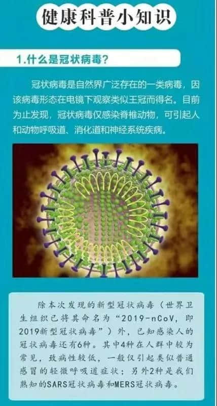 石家庄私立第一中学关于新型冠状病毒防控倡议书