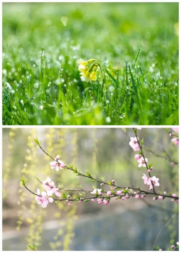 春天万物复苏，收获在秋，始于春