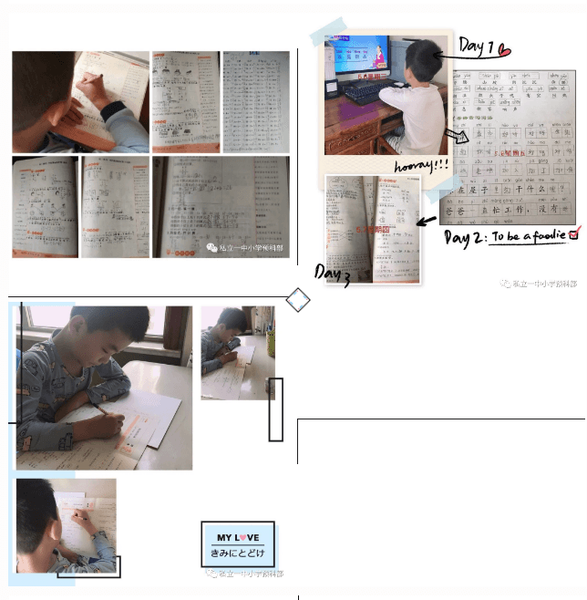 鸟欲高飞先振翅，人求上进先读书。