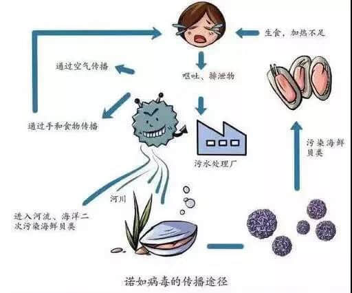 诺如病毒宣传