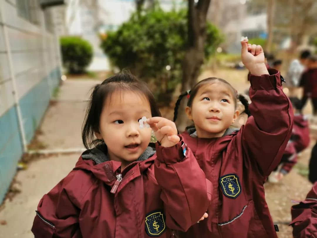 赴一场与杏花春雨杨柳风的约会--二十四节气春分