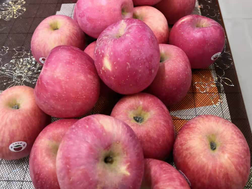 品月饼赏圆月 共度欢乐中秋  师生共度传统中秋佳节