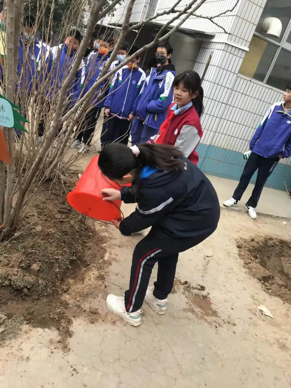 【五育并举】播种绿色希望 收获生命景色——植树节劳动实践温馨开启