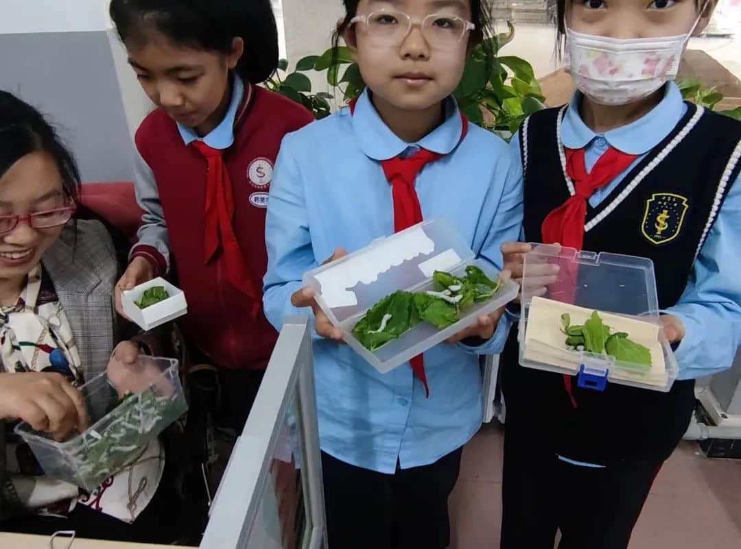 【立娃成长录】聚焦双减深求索，争做小小科学家——学科双减课堂纪实