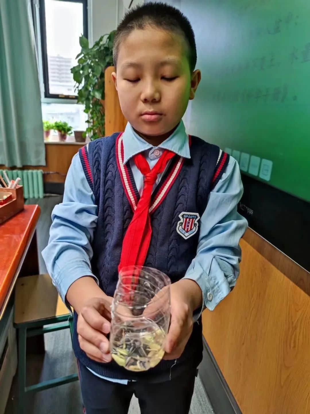 【立娃成长录】聚焦双减深求索，争做小小科学家——学科双减课堂纪实