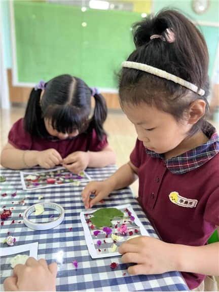 芒种芒种、幸福播种——私立一中附属幼儿园24节气“芒种”主题活动