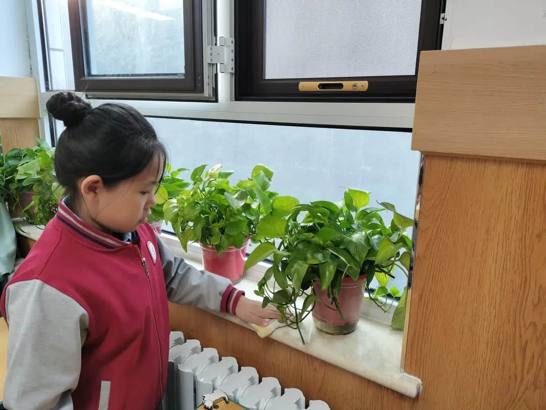 【立之育•劳动课程】一起“趣”劳动——石家庄私立一中附属小学主题教育活动