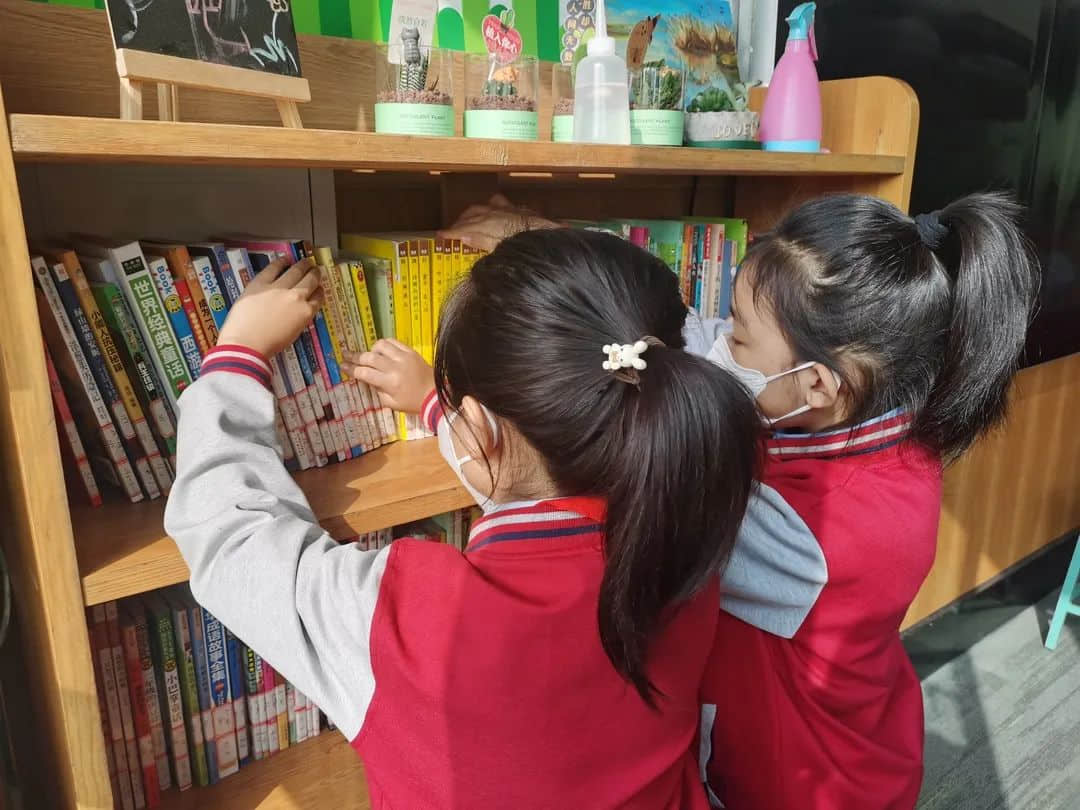 【立之育•劳动课程】一起“趣”劳动——石家庄私立一中附属小学主题教育活动
