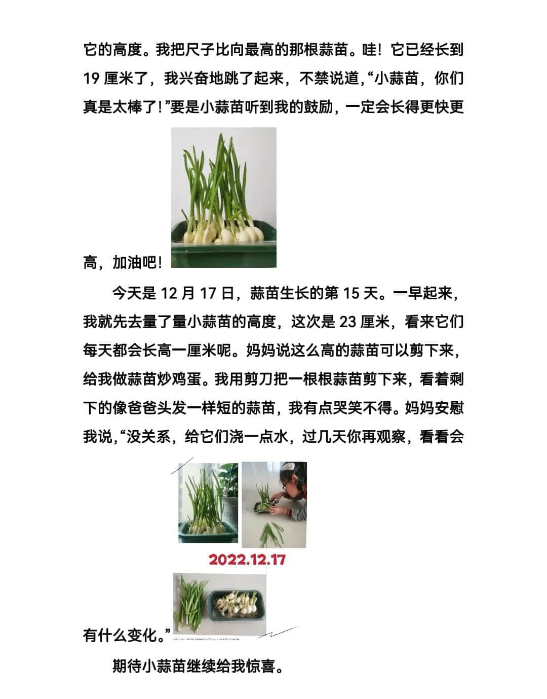 【立之育•生命课程】了解植物生长，感受生命力量——“成长四记”冬藏课程之居家种植（二）