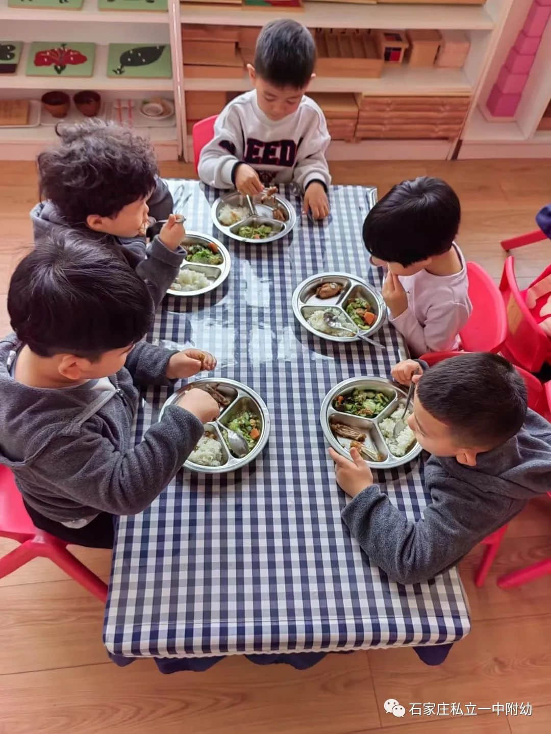 【幼见开学】相约春天 立宝儿开学季·生活篇