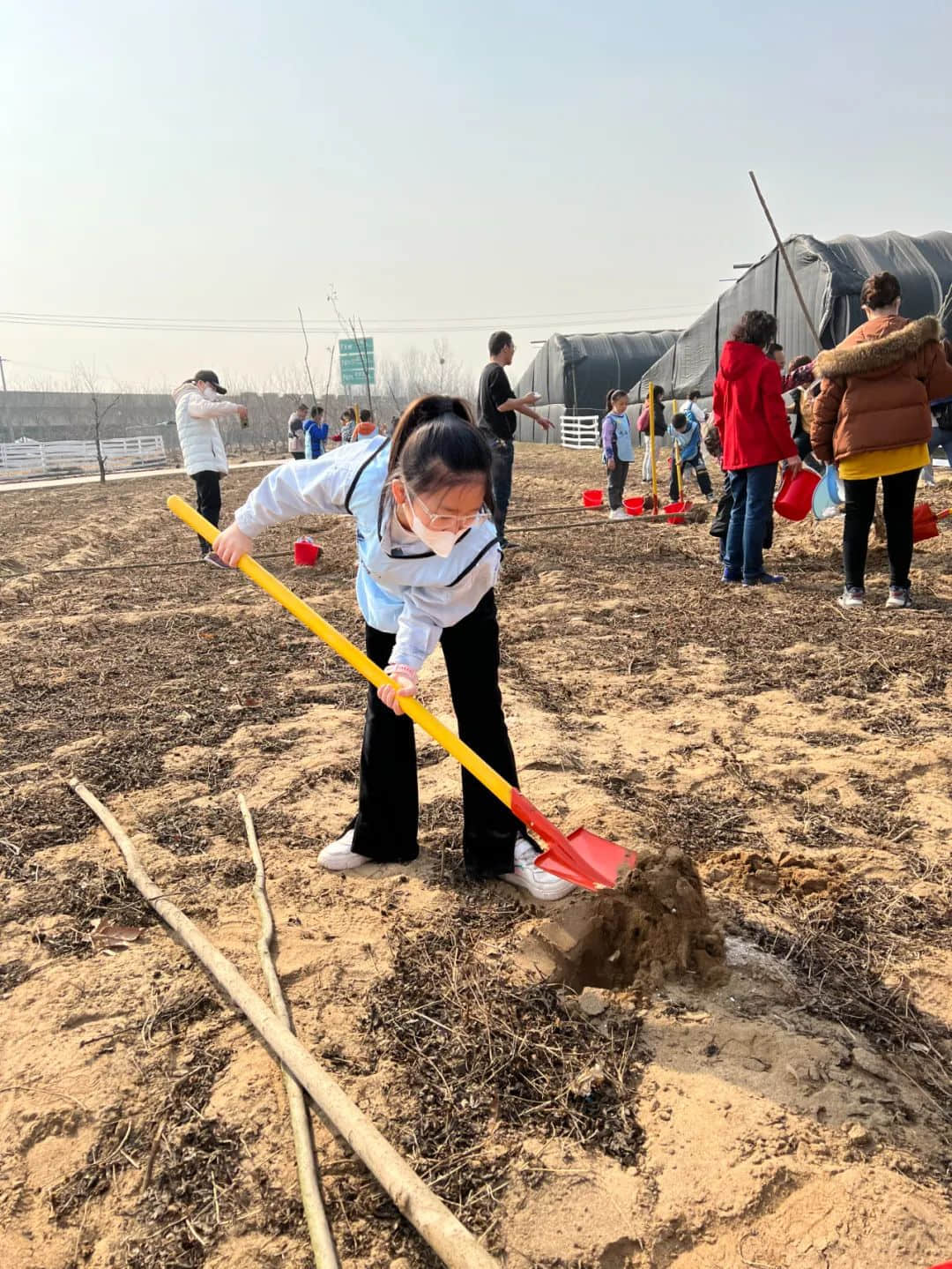 【立小•劳动教育】浇灌希望 种植未来 | 立娃植树节实践活动