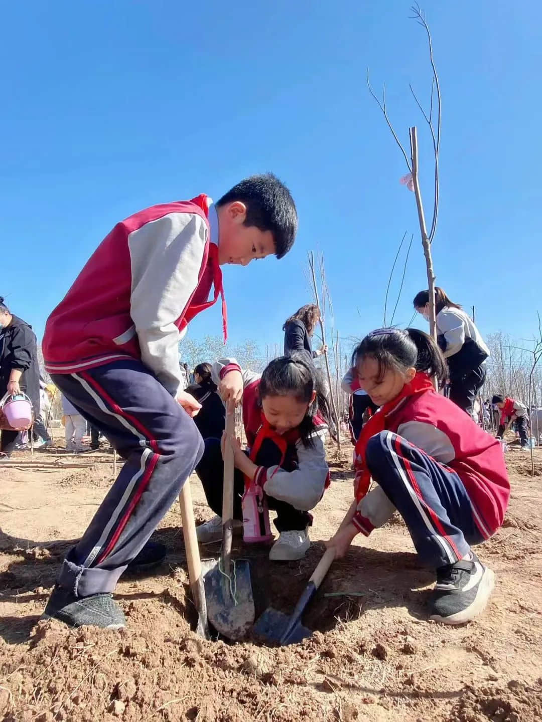 【立小•劳动教育】浇灌希望 种植未来 | 立娃植树节实践活动