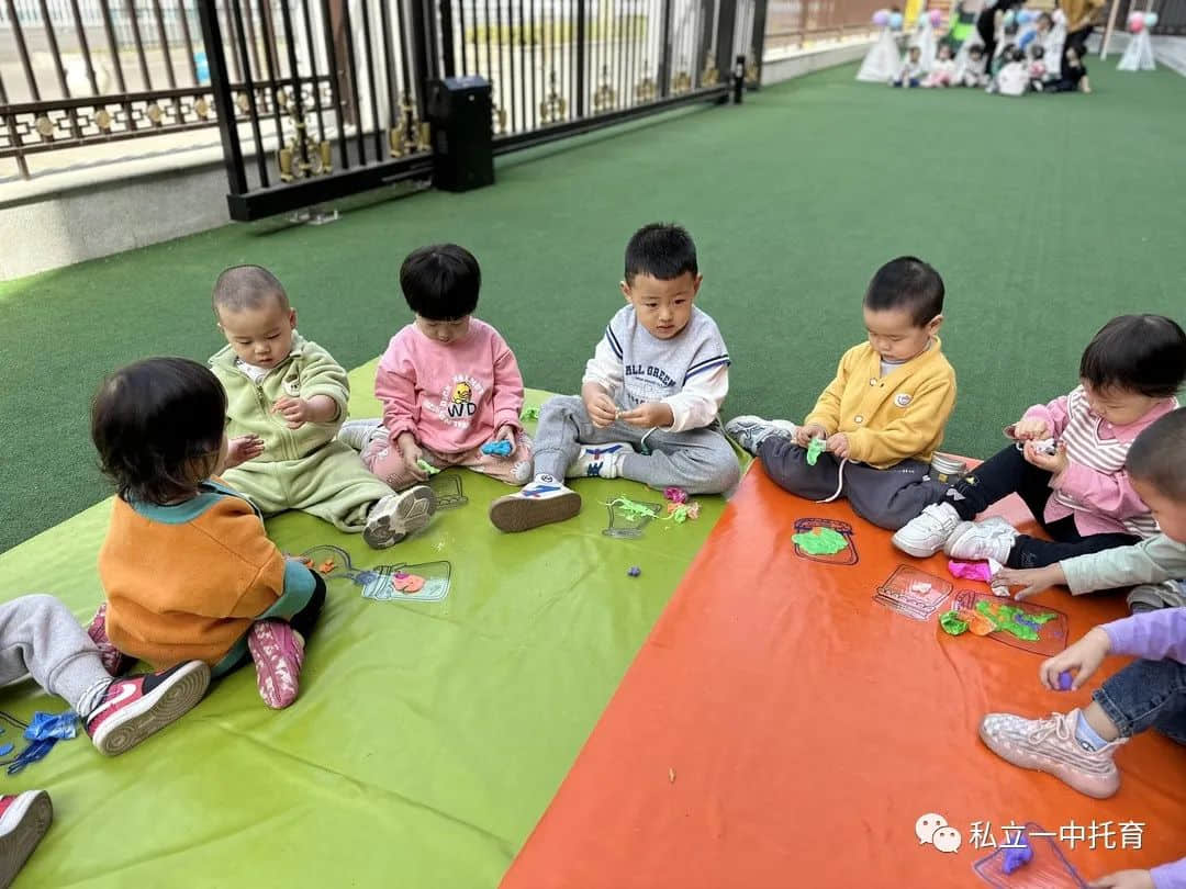 【节日知识】“植树节”——将绿色种在春天里