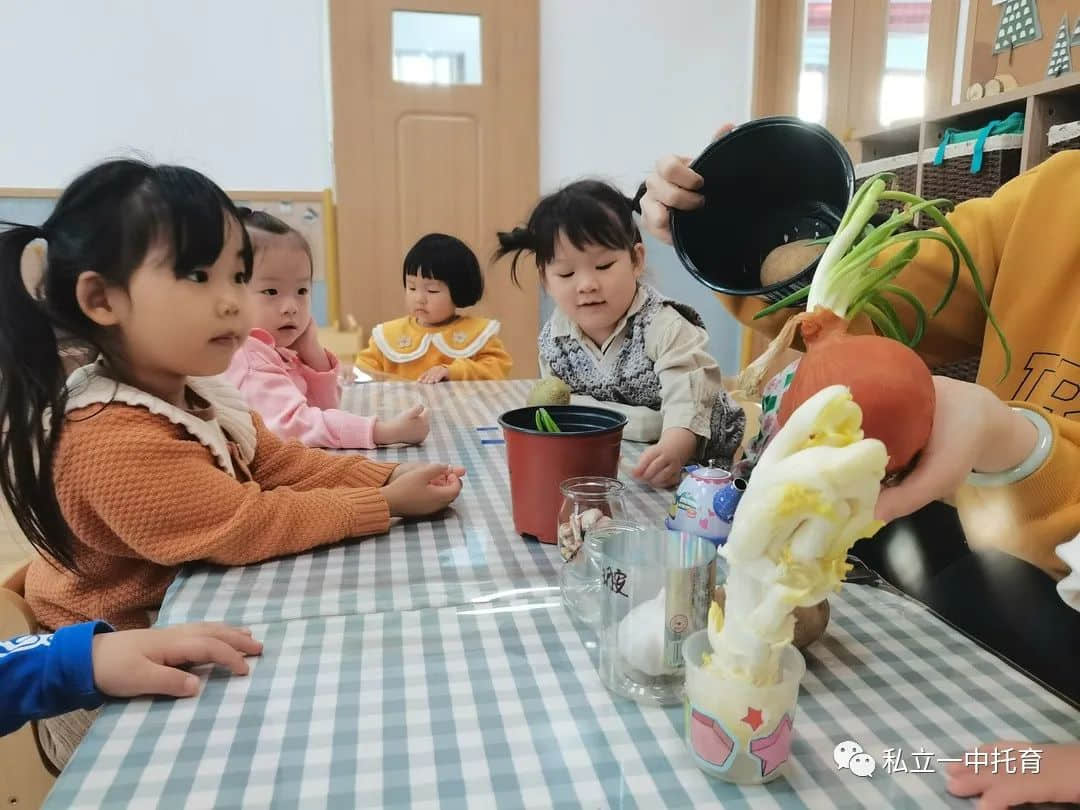 【节日知识】“植树节”——将绿色种在春天里