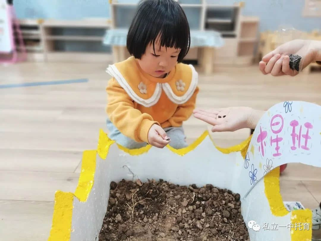 【节日知识】“植树节”——将绿色种在春天里