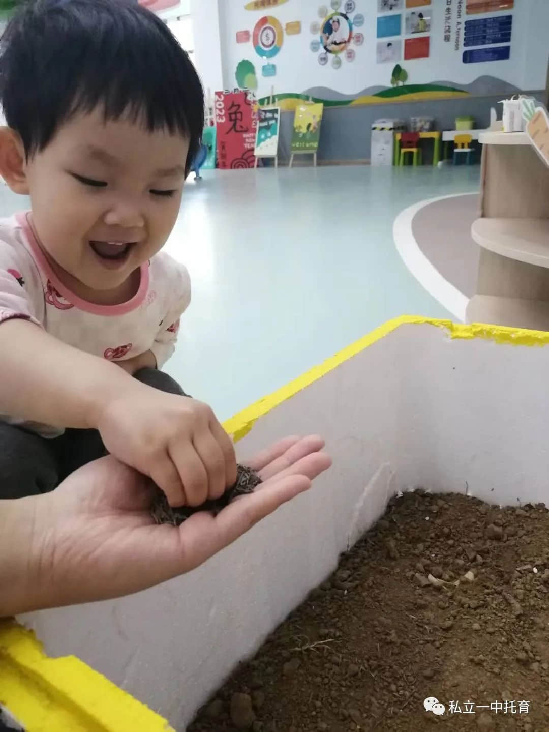 【节日知识】“植树节”——将绿色种在春天里