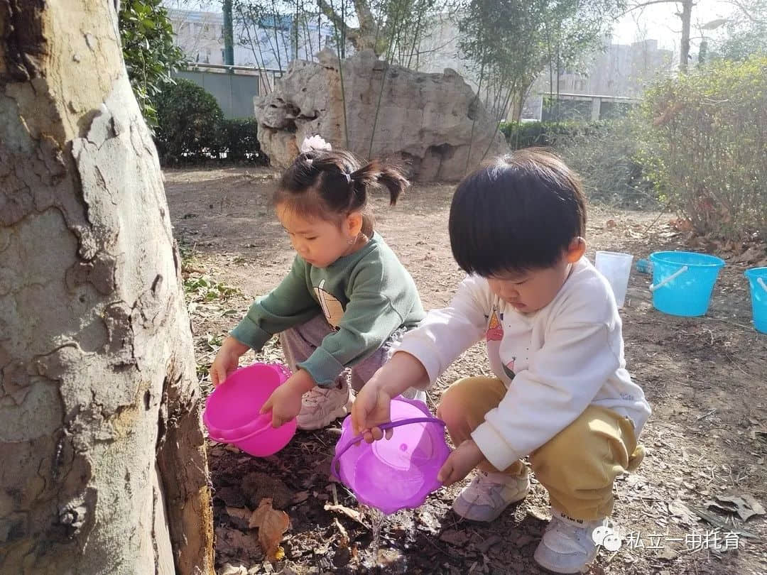 【节日知识】“植树节”——将绿色种在春天里