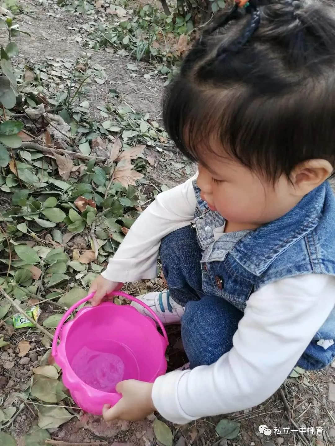 【节日知识】“植树节”——将绿色种在春天里