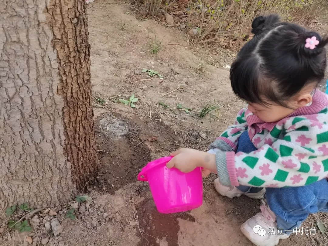 【节日知识】“植树节”——将绿色种在春天里