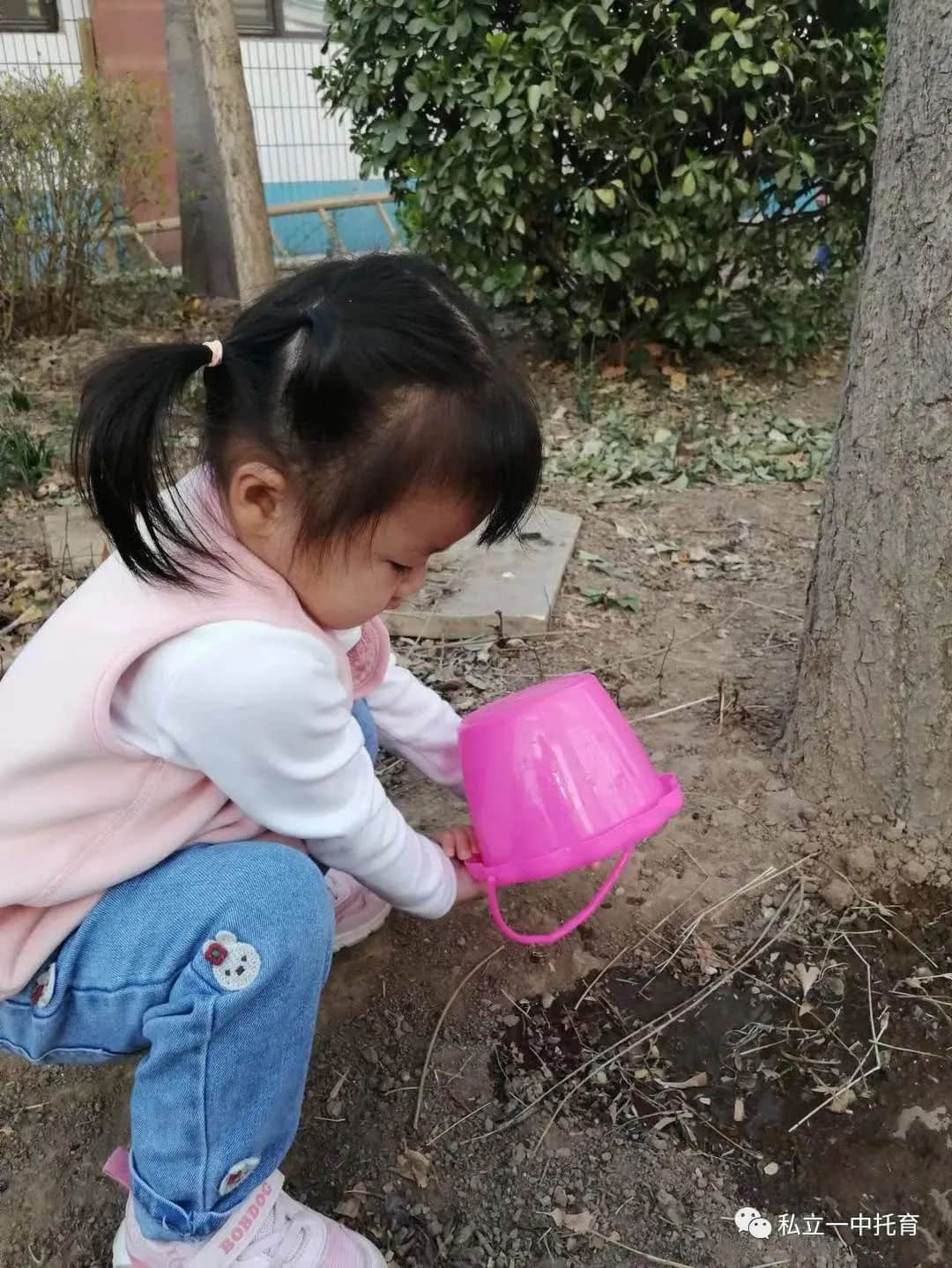 【节日知识】“植树节”——将绿色种在春天里