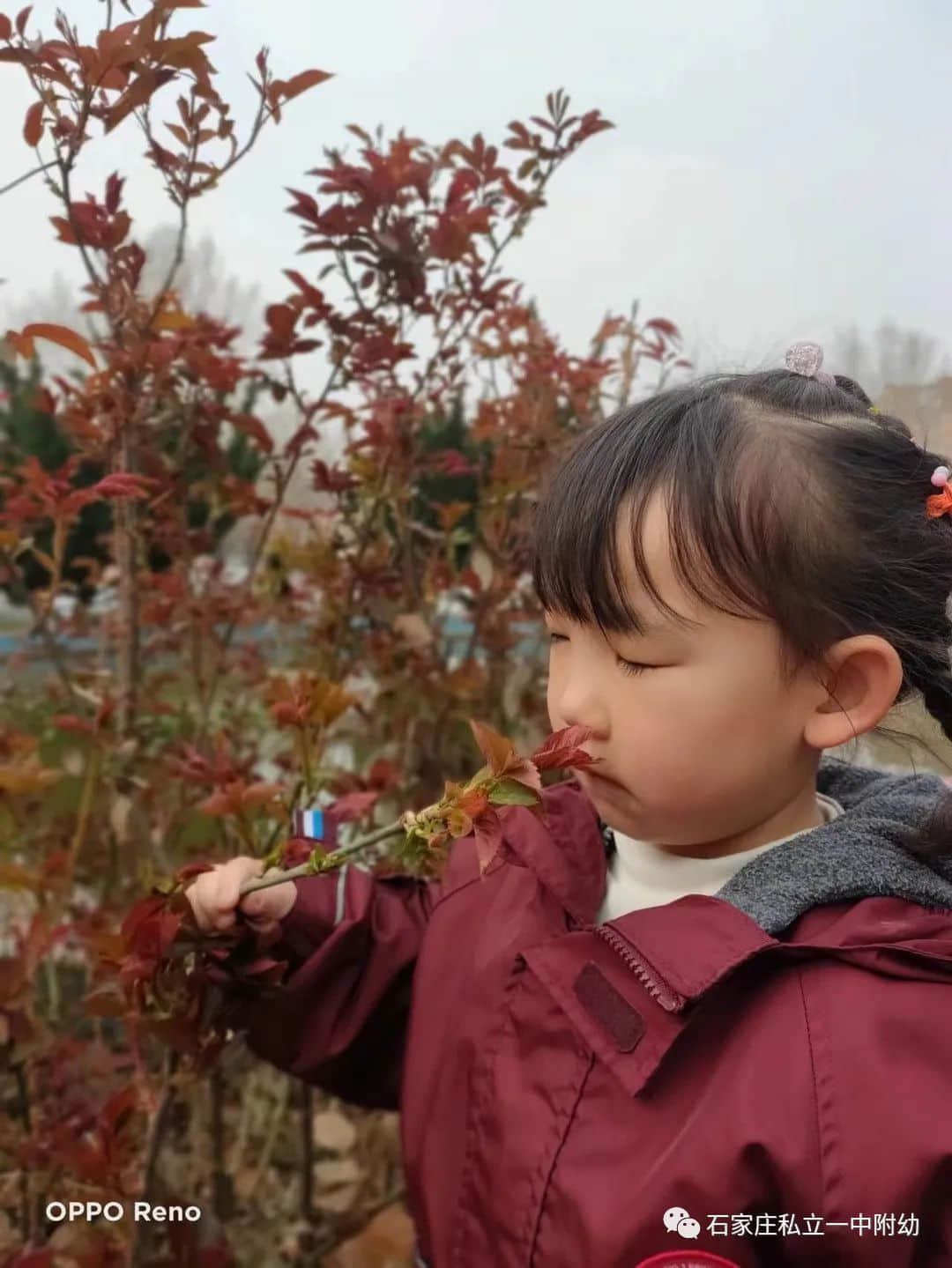 【幼之育】邂逅春日，“幼”见花开