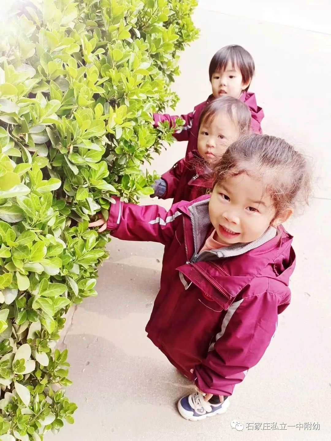 【幼之育】邂逅春日，“幼”见花开