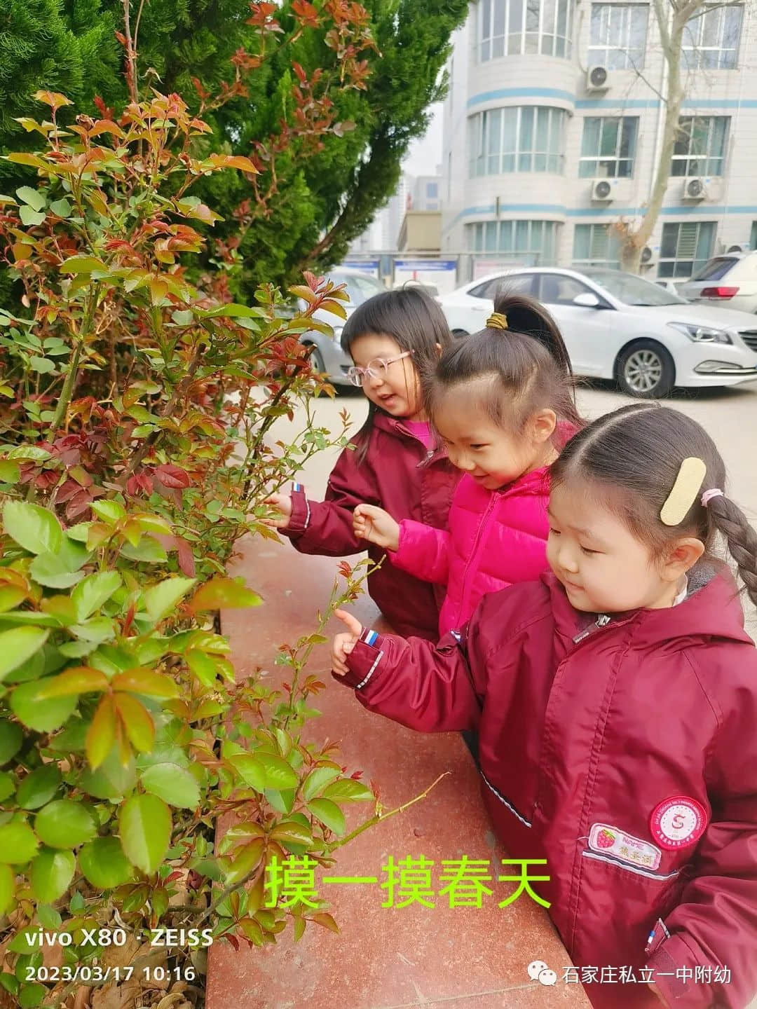 【幼之育】邂逅春日，“幼”见花开