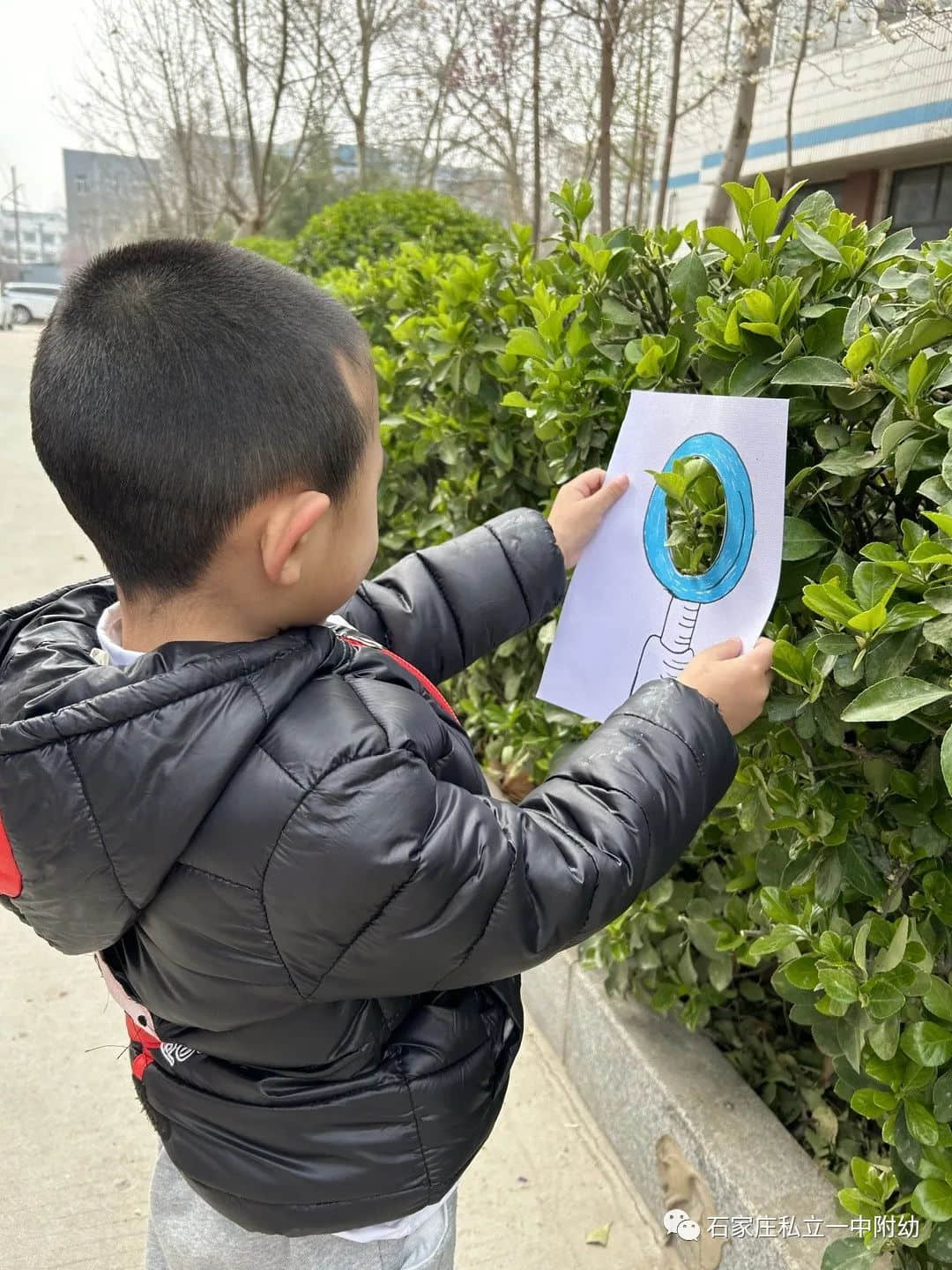 【幼之育】邂逅春日，“幼”见花开