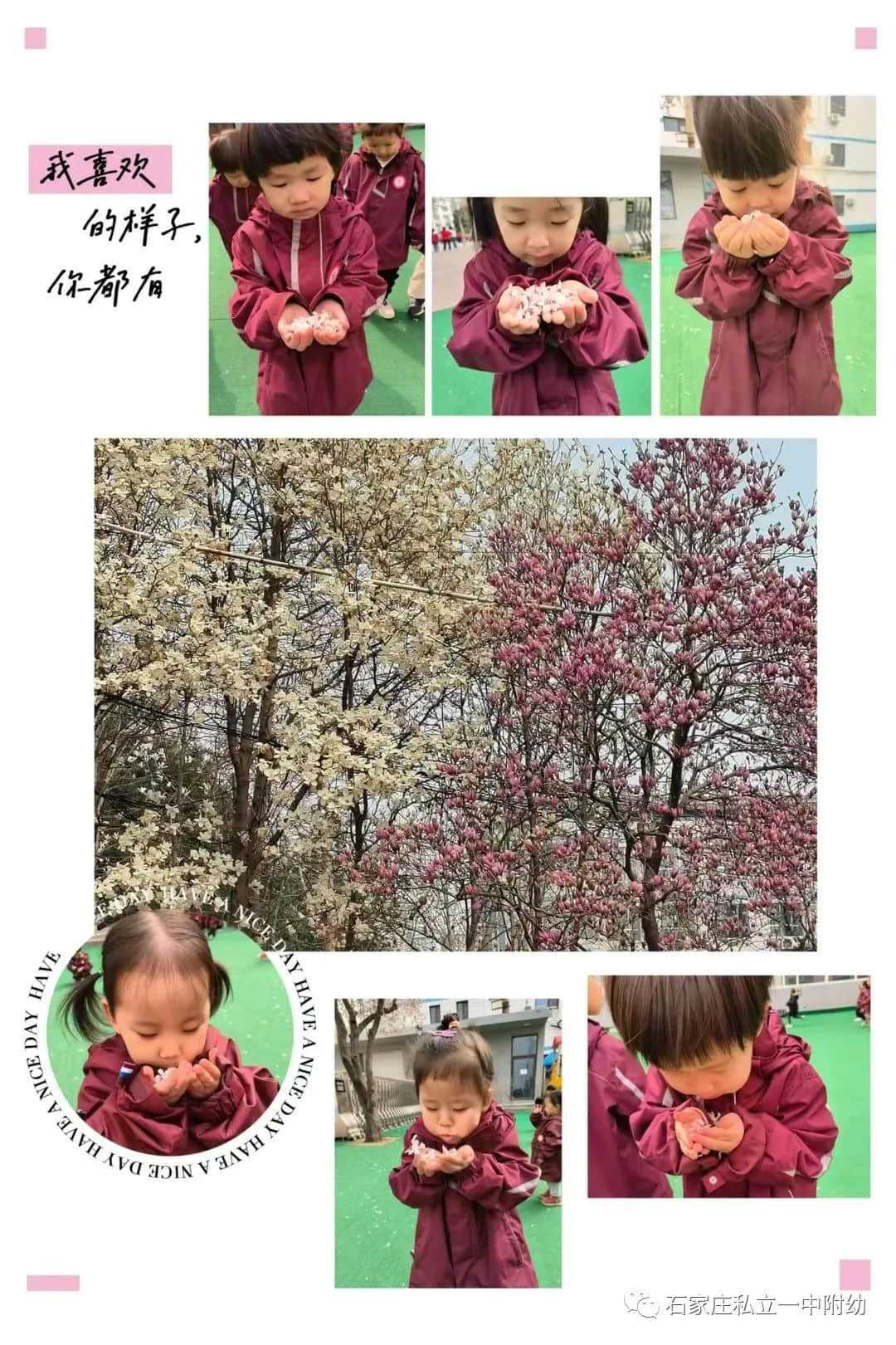 【幼之育】邂逅春日，“幼”见花开