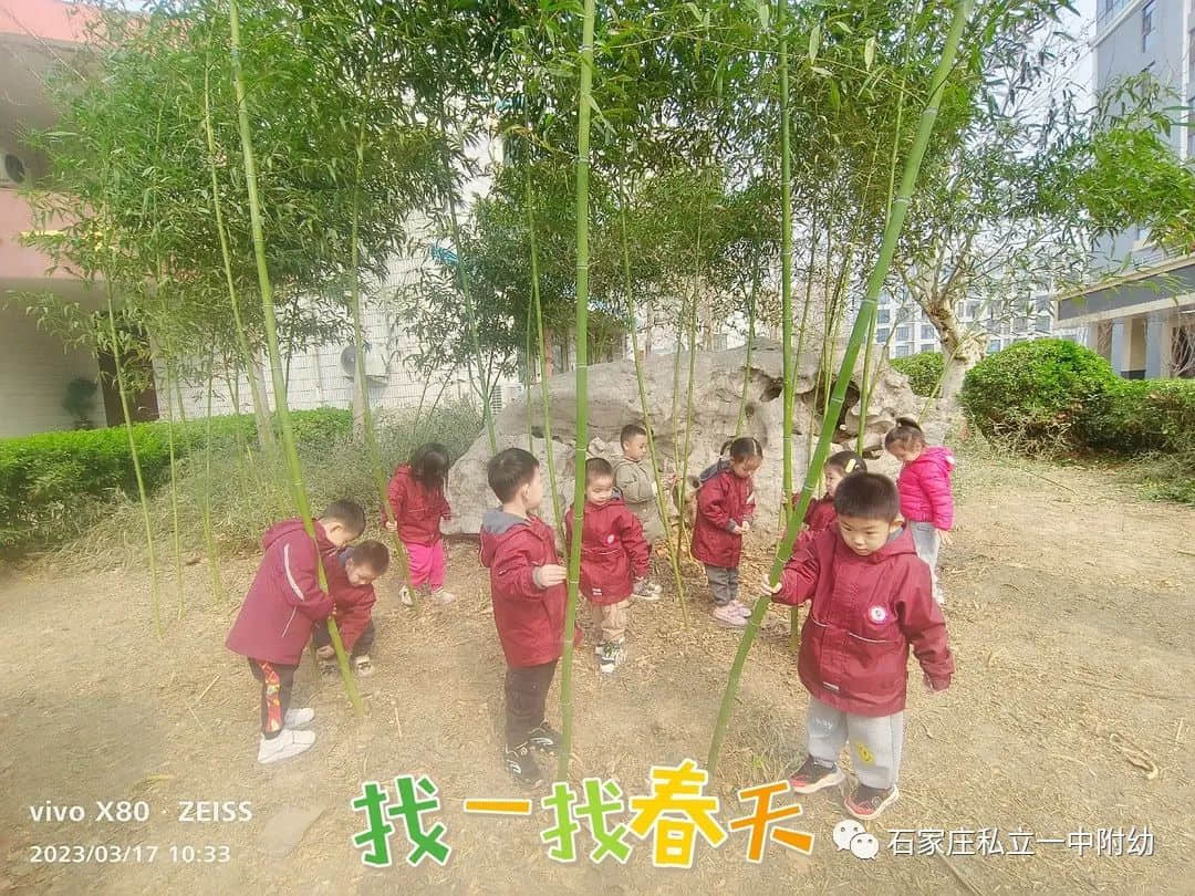 【幼之育】邂逅春日，“幼”见花开