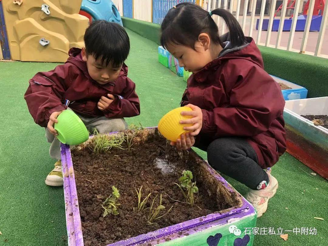 【幼之育】邂逅春日，“幼”见花开