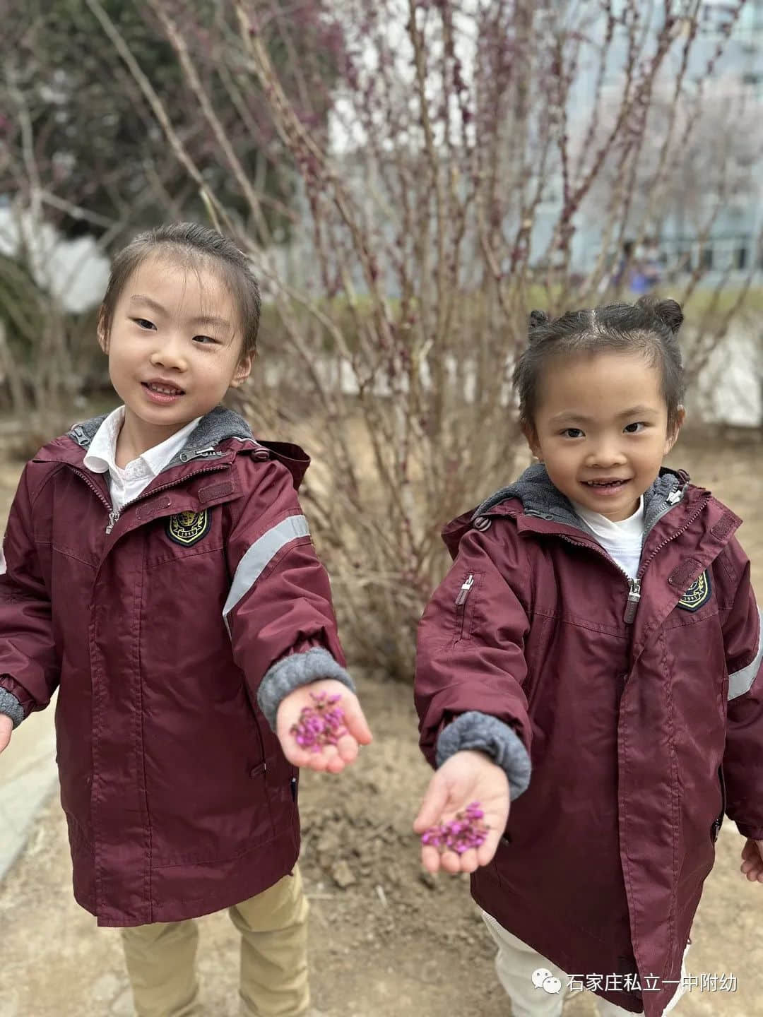 【幼之育】邂逅春日，“幼”见花开