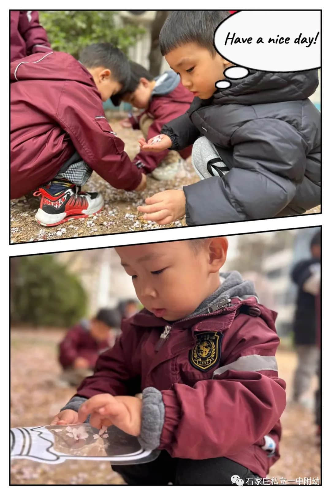 【幼之育】邂逅春日，“幼”见花开