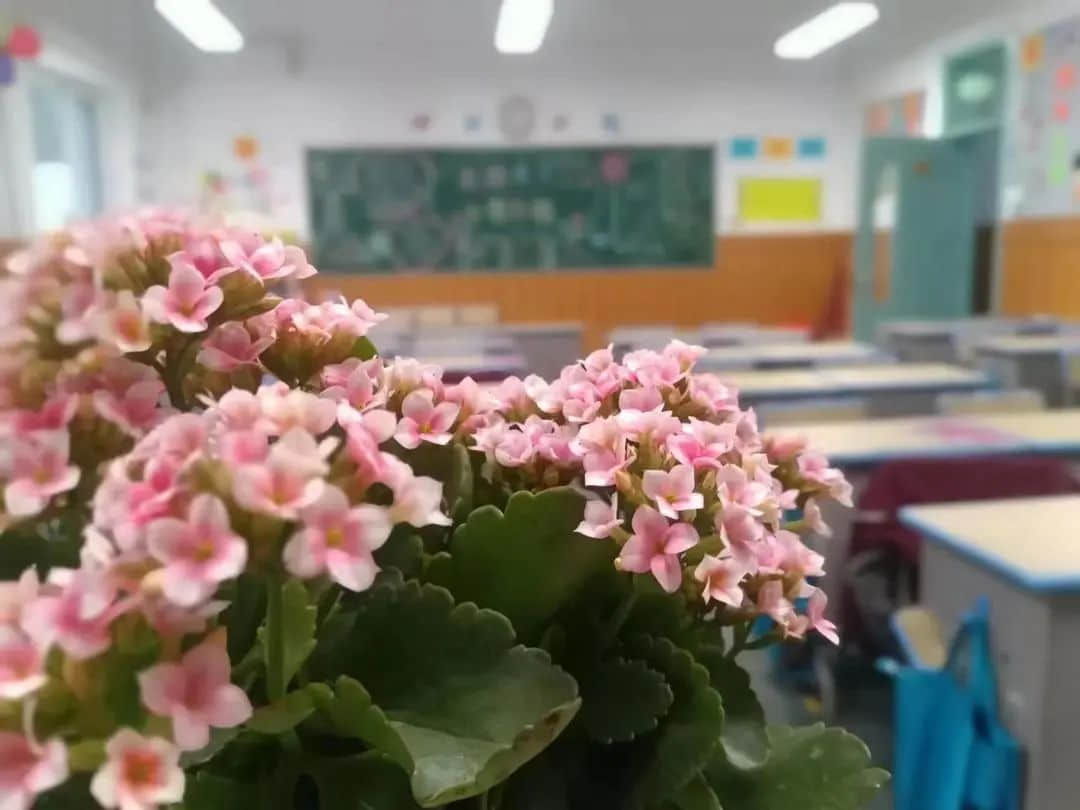 【立小•小幼衔接】春风化雨 点滴入心｜预娃小学探秘活动纪实