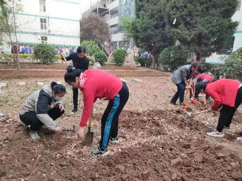 【立小•生命课程】走进种子的世界 探索生命的密码｜私立一中附属小学