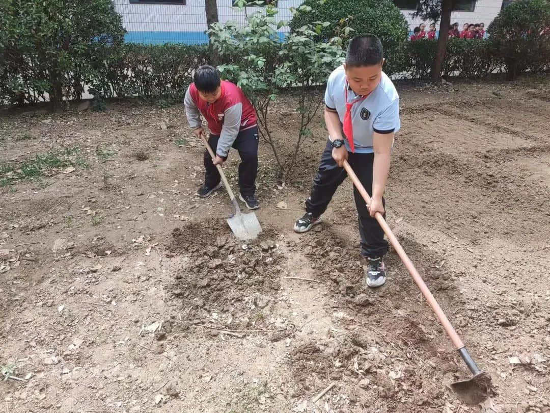 【立小•生命课程】走进种子的世界 探索生命的密码｜私立一中附属小学