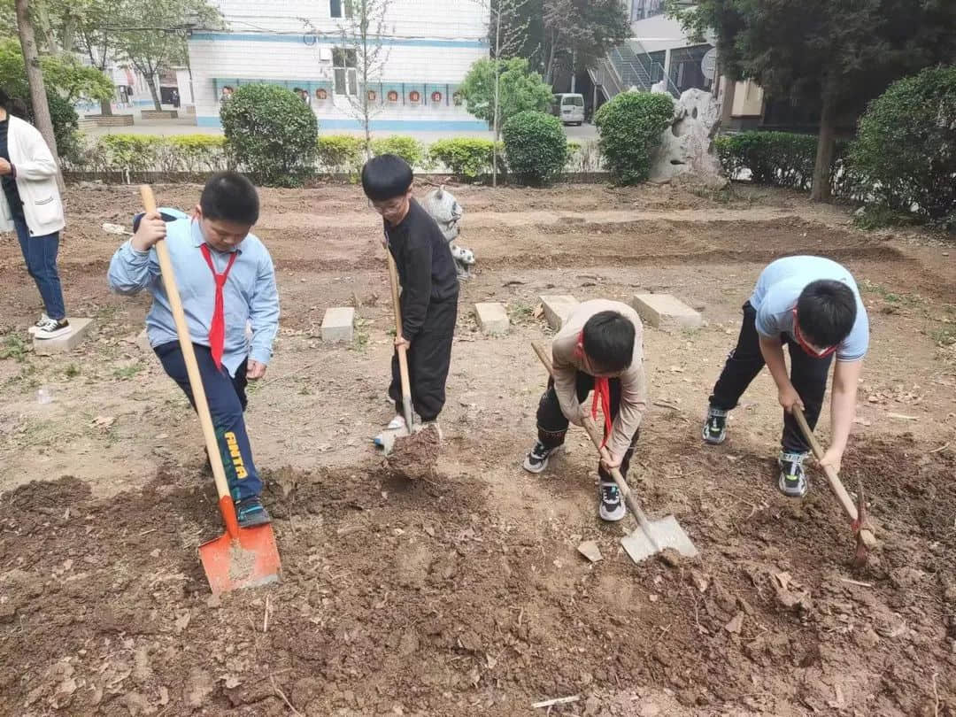 【立小•生命课程】走进种子的世界 探索生命的密码｜私立一中附属小学