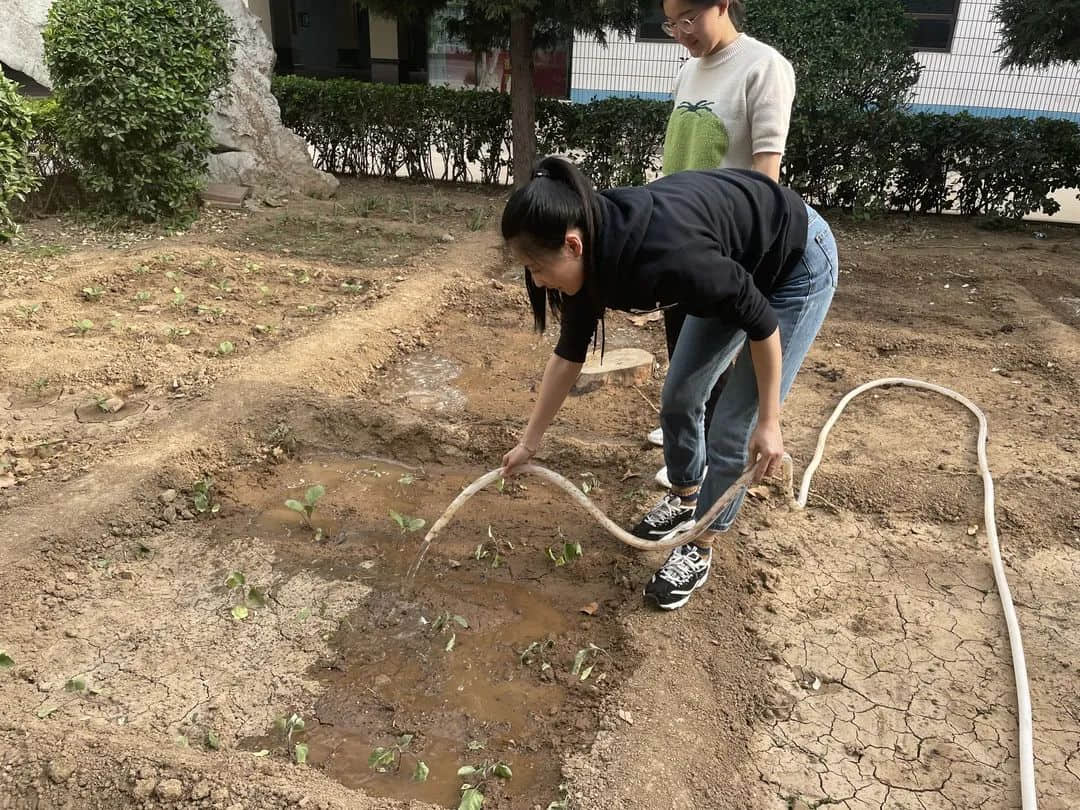 【立小•生命课程】走进种子的世界 探索生命的密码｜私立一中附属小学