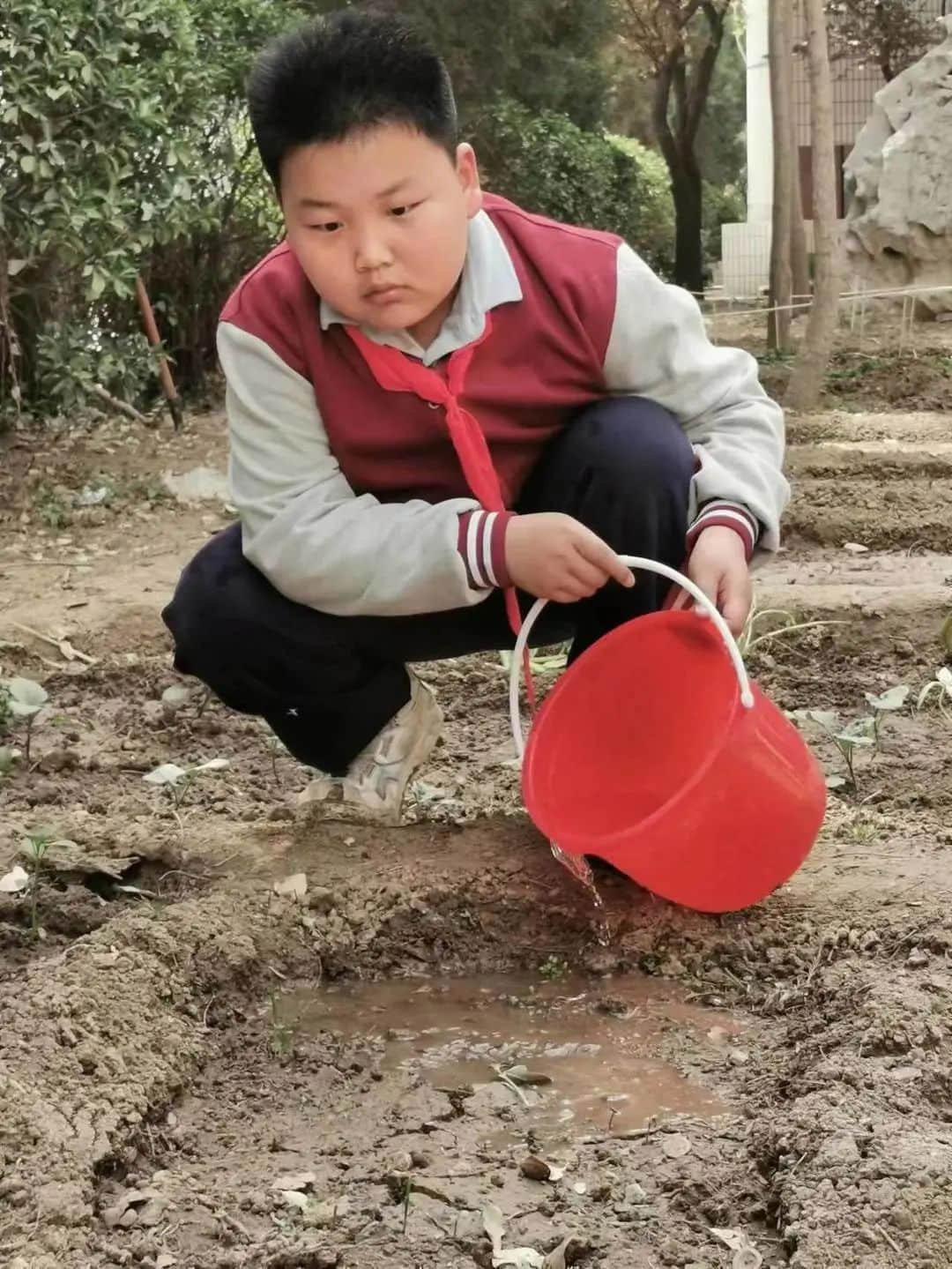 【立小•生命课程】走进种子的世界 探索生命的密码｜私立一中附属小学