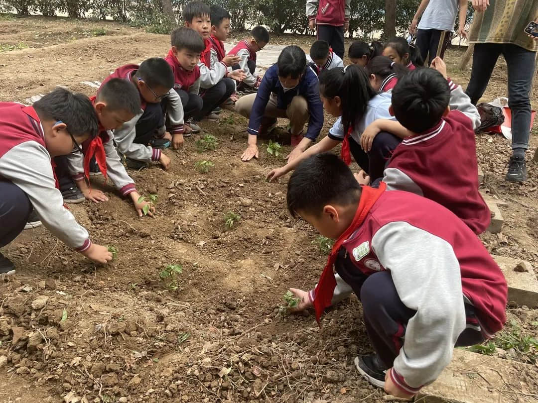 【立小•生命课程】走进种子的世界 探索生命的密码｜私立一中附属小学