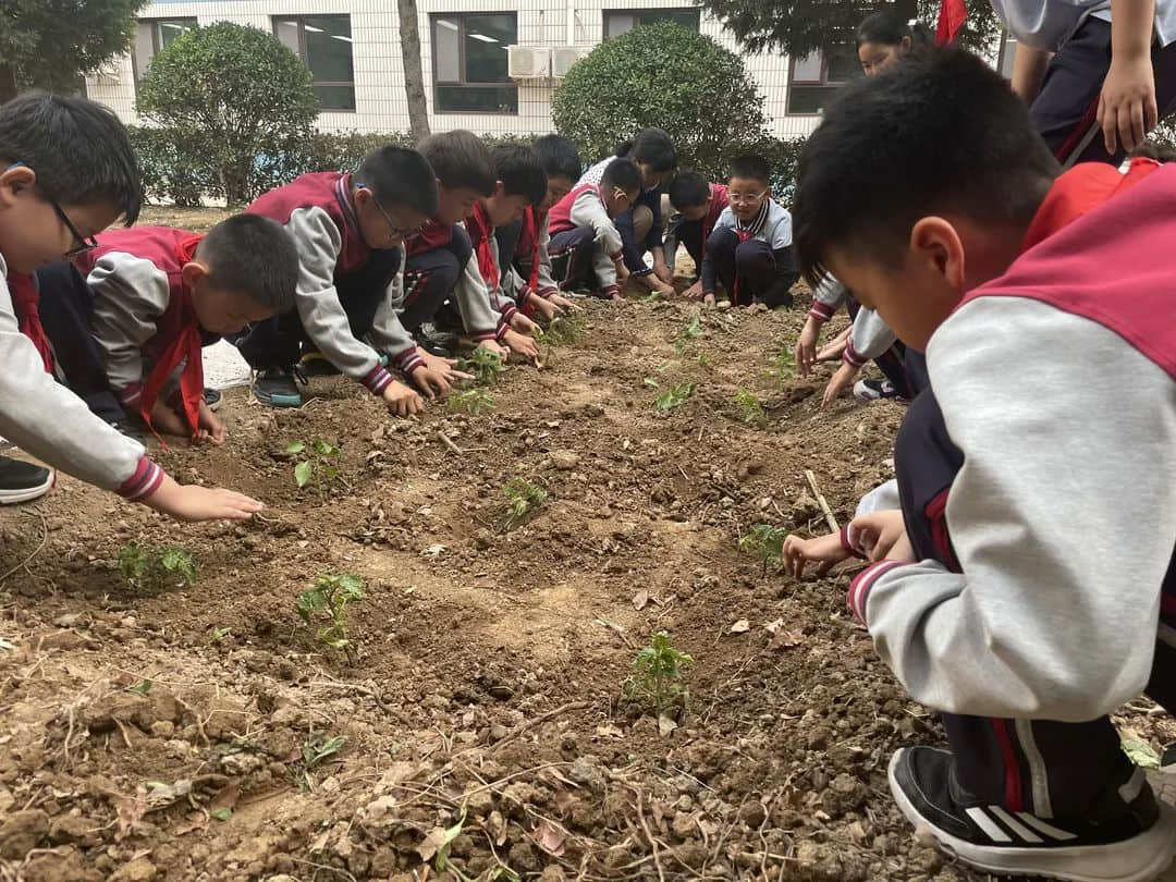 【立小•生命课程】走进种子的世界 探索生命的密码｜私立一中附属小学