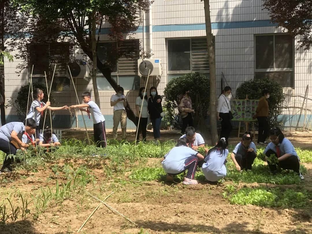 【立小•家长开放日】以爱之名 ，共赴一场成长的探校之旅