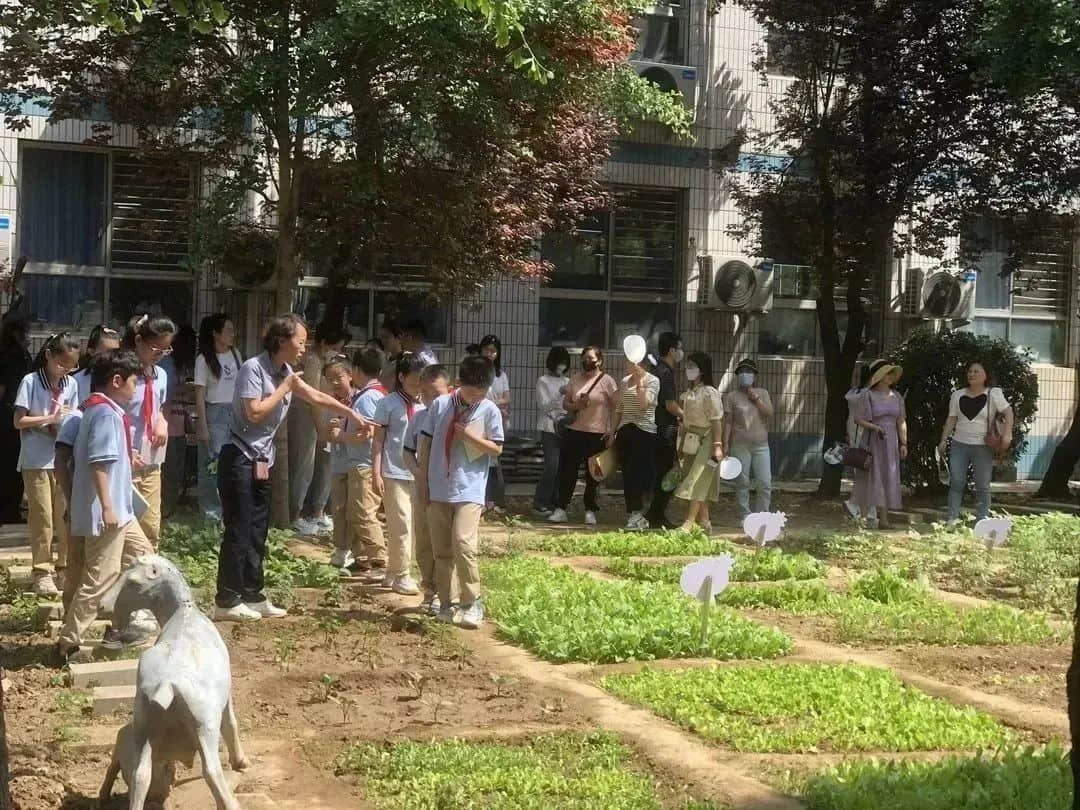 【立小•家长开放日】以爱之名 ，共赴一场成长的探校之旅