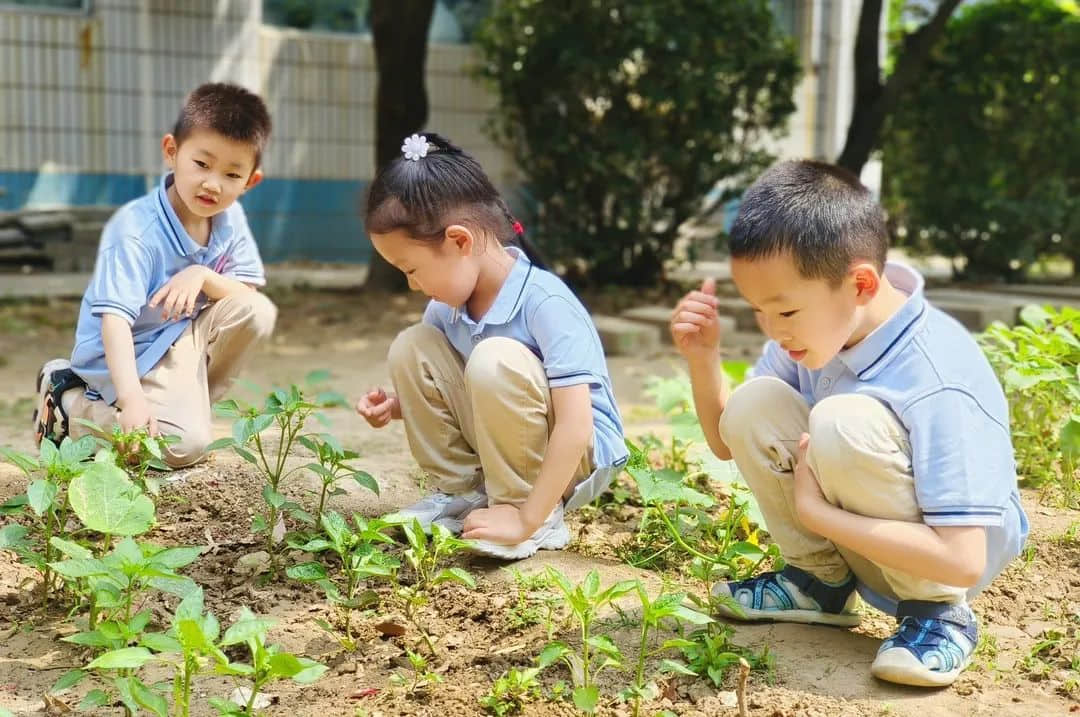 【预之梦】追梦路上，向阳而行——私立一中附小预科部之追梦