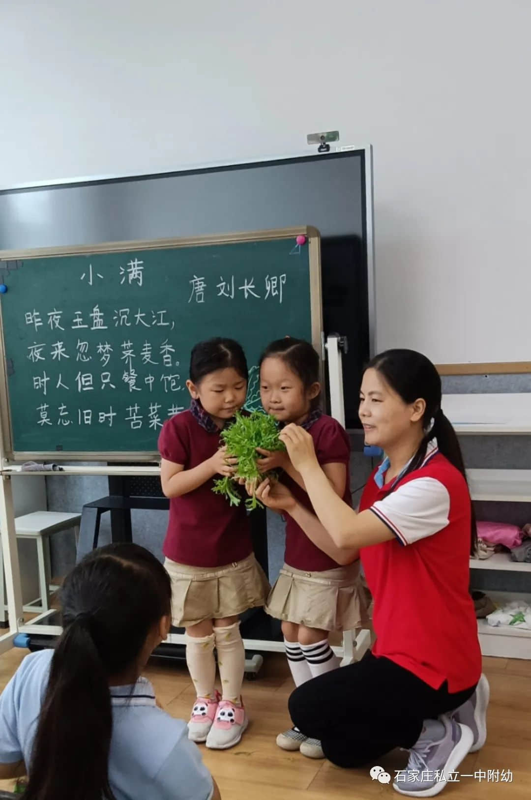 【幼之育】小满小满，幸福“幼”美满