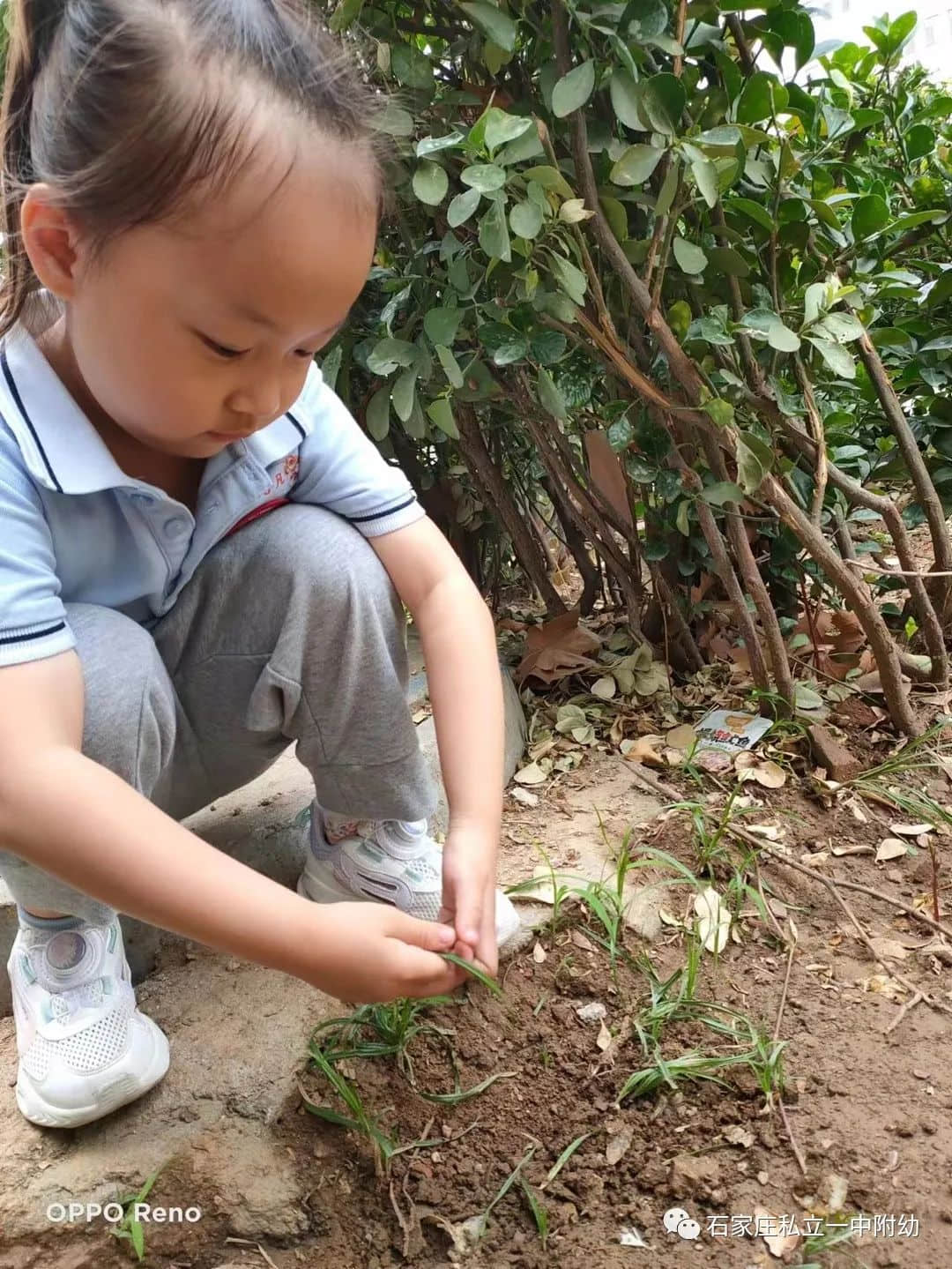 【幼之育】小满小满，幸福“幼”美满