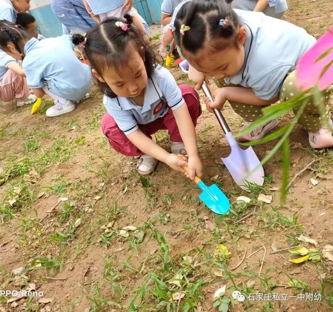 【幼之育】小满小满，幸福“幼”美满