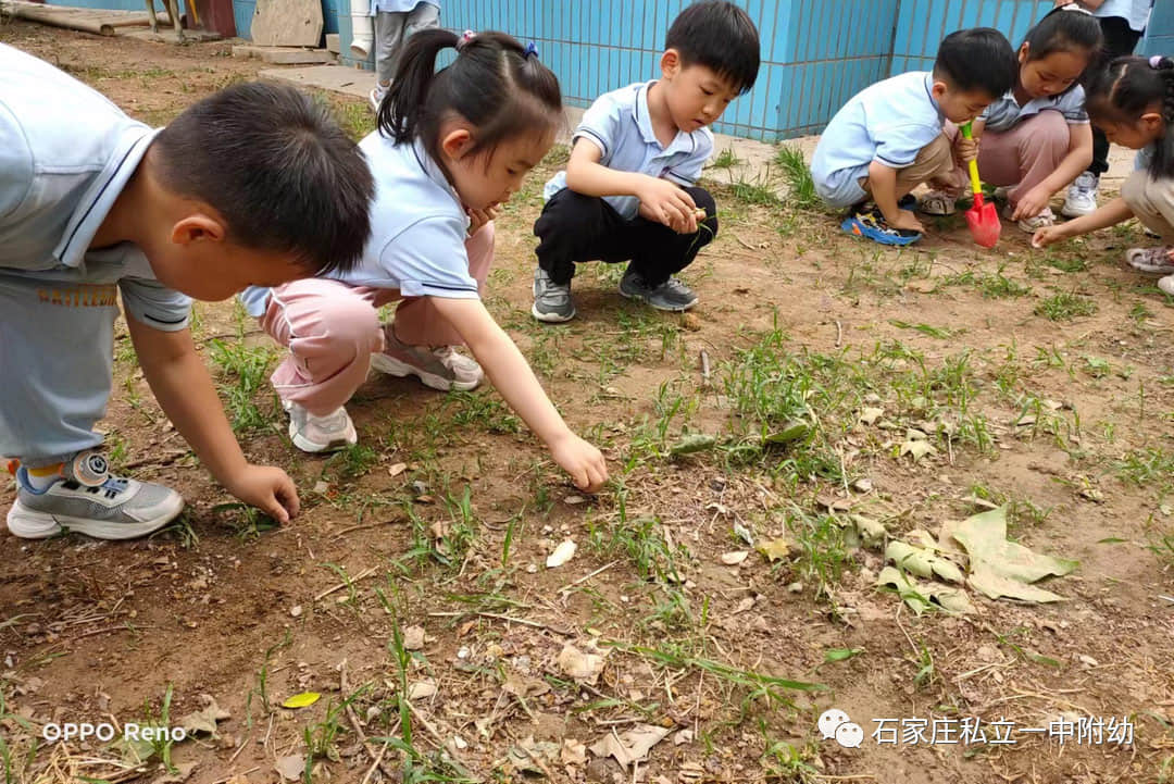 【幼之育】小满小满，幸福“幼”美满