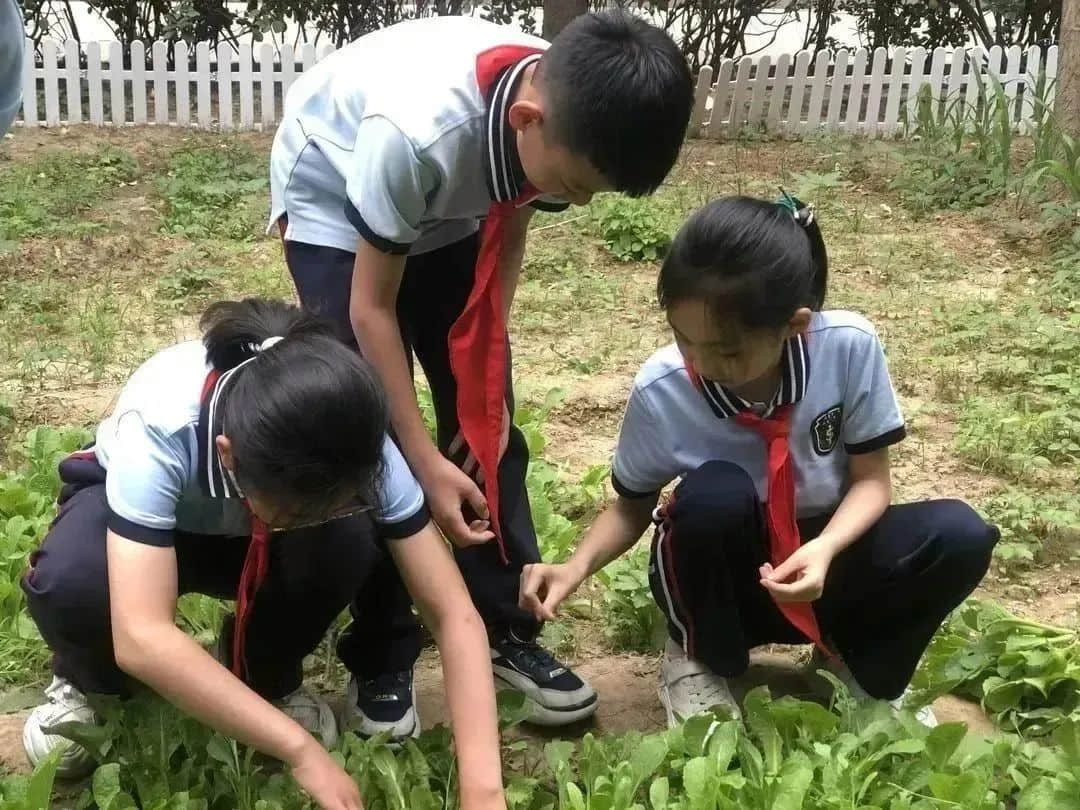 【立小•家长开放日】耕耘与爱 立小可期 | 听夏篇纪实 第二季