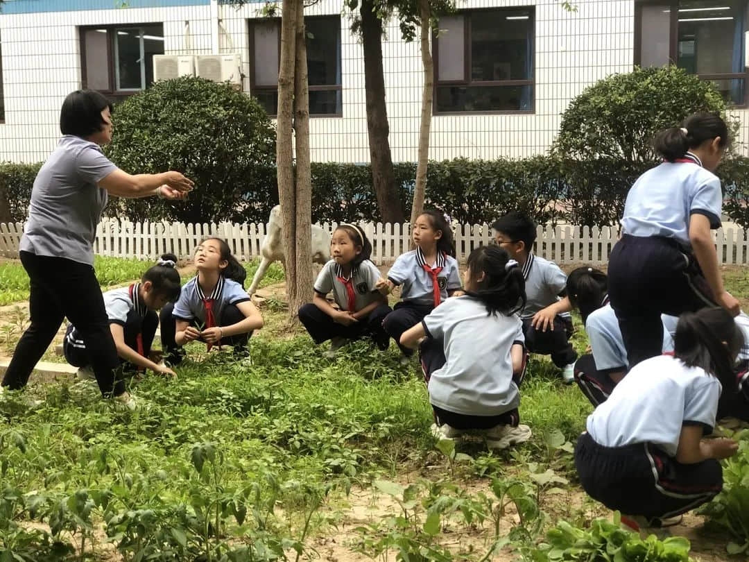 【立小•家长开放日】耕耘与爱 立小可期 | 听夏篇纪实 第二季
